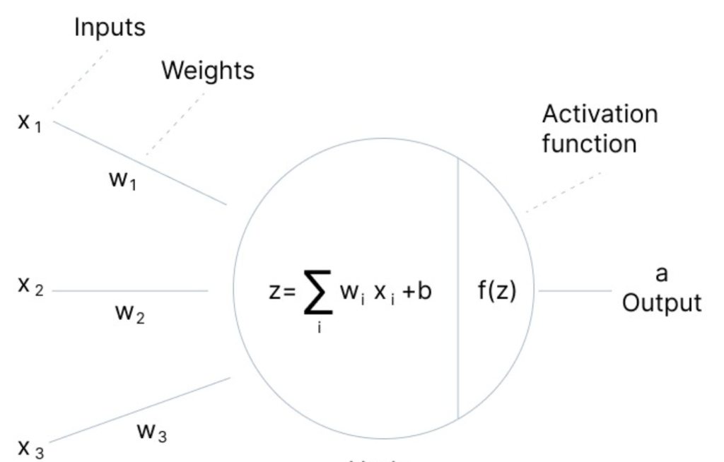 Zooming into a neuron