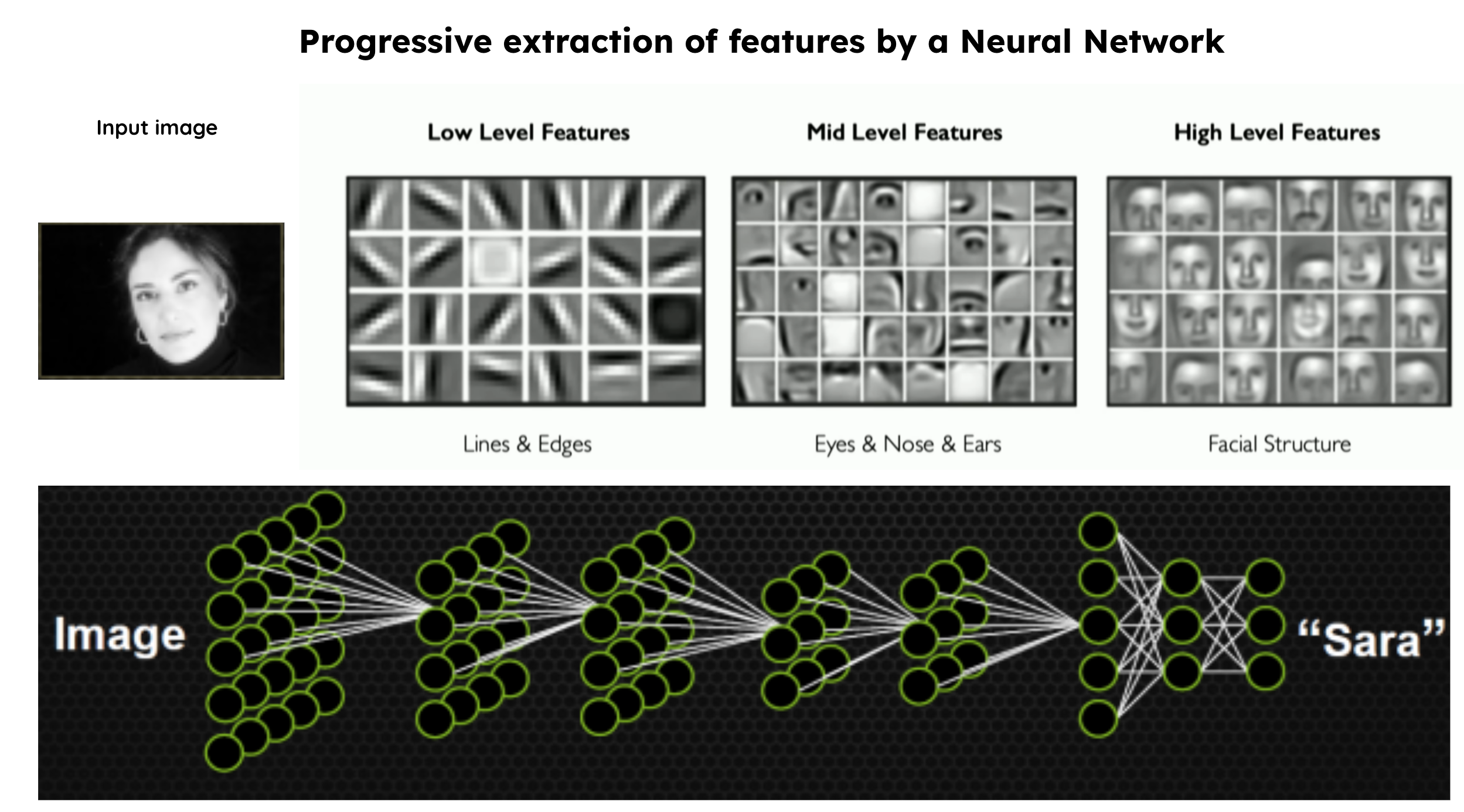 How neural networks progressively extract higher-level features