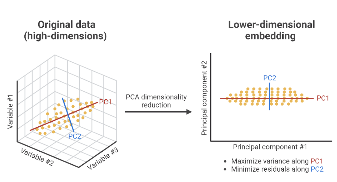 Principal Component Analysis (PCA) 