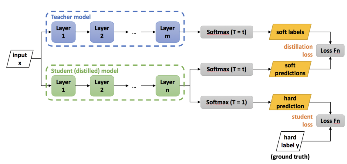 Knowledge Distillation process